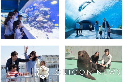 From the opening day on April 17, "Animal Crossing: New Horizons × Yokohama Hakkeijima Sea Paradise Hakkei Island Marine Life Touch Exhibition"