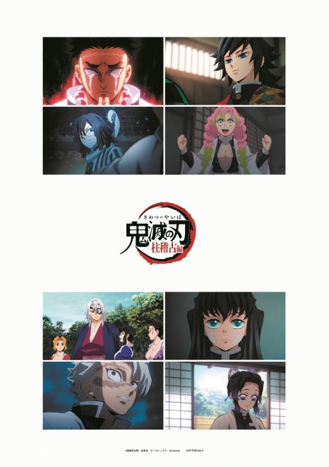 Supplement Clear File