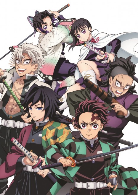 Supplement Clear File