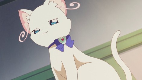 Scene cut from 'Wonderful Precure!'