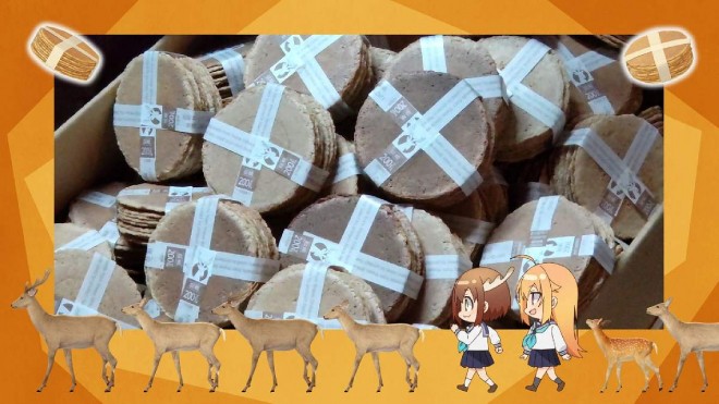 Scenes from the ED video of the anime 'My Deer Friend Nokotan'