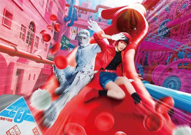 red blood cell (played by Mei Nagano) and white blood cell (played by Takeru Satoh) from Cells at Work (in theaters December 13) (C) Akane Shimizu / Kodansha (C) Shigemitsu Harada, Issei Hatsuyoshiya, Akane Shimizu / Kodansha (C) 2024 Cells at Work Film Production Committee