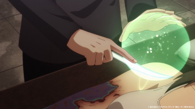 The Brilliant Healer's New Life in the Shadows