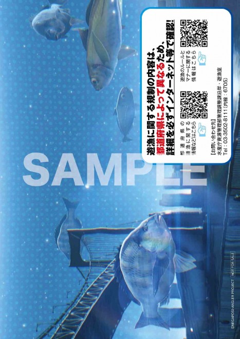 Fisheries Agency x Negative Positive Angler – Reverse side of the clear file featuring fish illustration by Yusei Nagashima