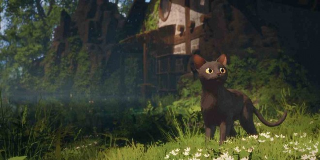 Miut, the real-life cat and voice of the lead in Flow.