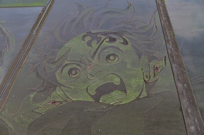 Massive rice paddy art of Tanjiro Kamado appears in Gyoda City, Saitama, Japan.