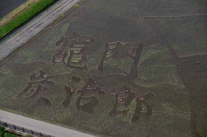 Massive rice paddy art of Tanjiro Kamado appears in Gyoda City, Saitama, Japan.