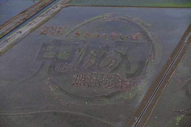Massive rice paddy art of Tanjiro Kamado appears in Gyoda City, Saitama, Japan.