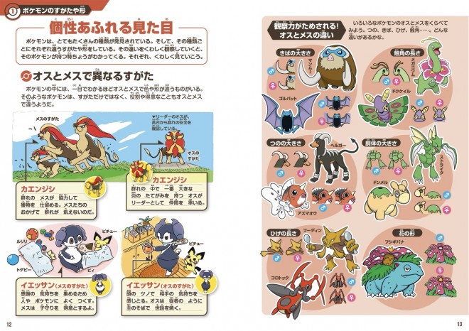 A full spread from the Pokémon Ecology Guidebook featuring Dragonite vs. Garchomp. The book delves into real-world behavioral ecology with 300+ original illustrations