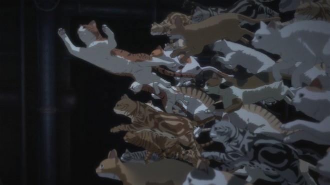 Night of the Living Cat