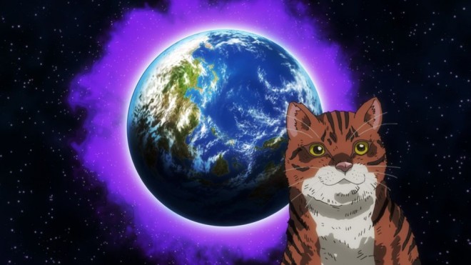 Night of the Living Cat