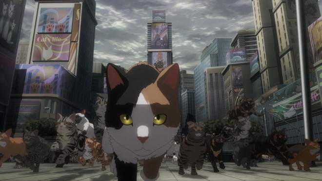 Night of the Living Cat