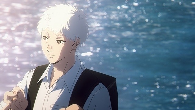 The Summer Hikaru Died