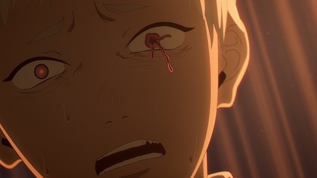 The Summer Hikaru Died