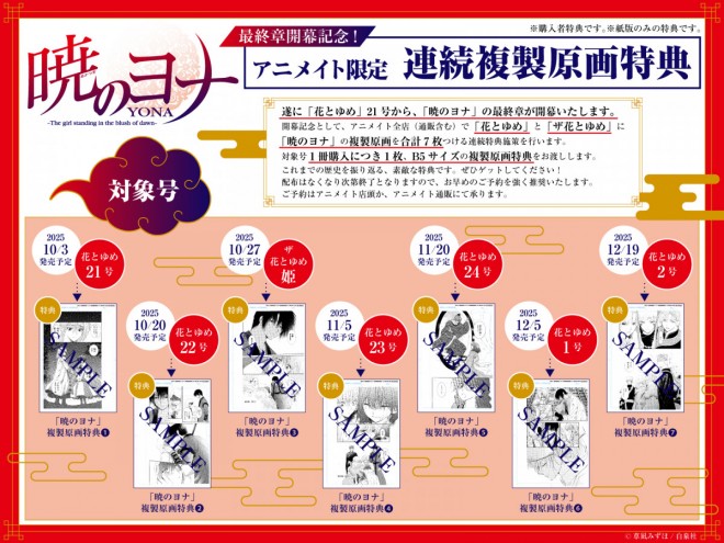 Replica illustration bonus project