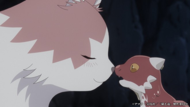 The Cat and The Dragon