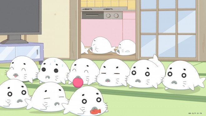 3rd Grade Ashibe QQ Goma-chan