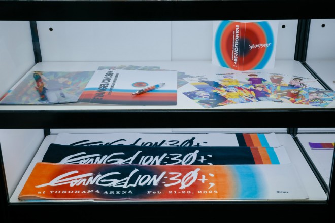 Scenes from EVANGELION 30+ 30th ANNIVERSARY OF EVANGELION