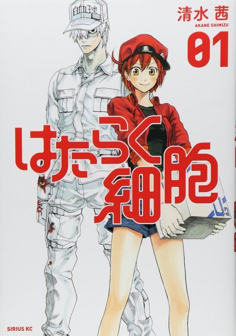 Cells at Work!