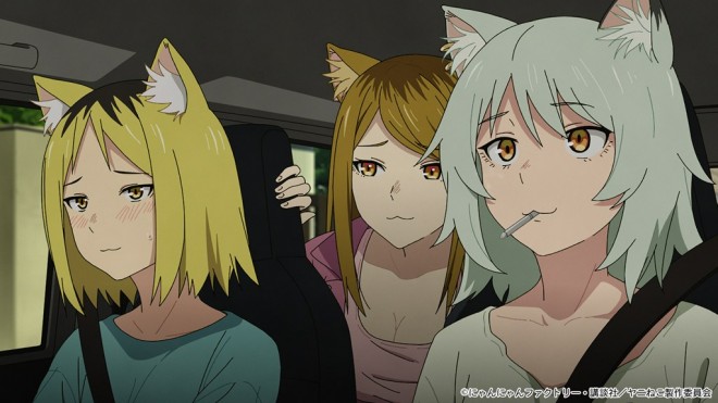 Chainsmoker Cat