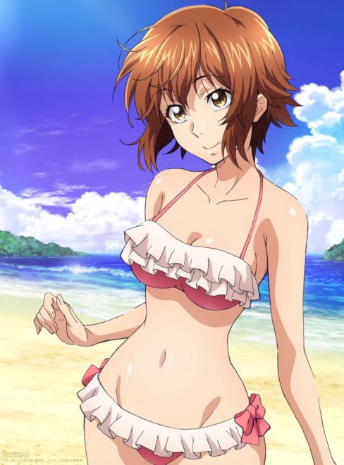 Grand Blue Dreaming Season 4 Officially Announced