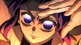 【The Insect Hashira】 Demon Slayer: Shinobu's Anxious Look as She Falls into Infinity Castle - Final Episode Illustration Released